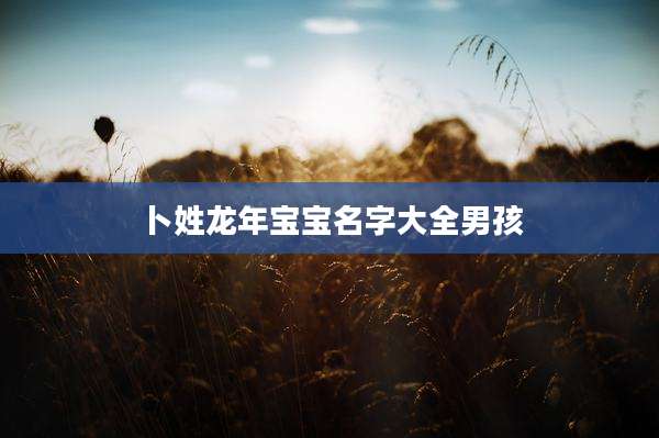 卜姓龙年宝宝名字大全男孩