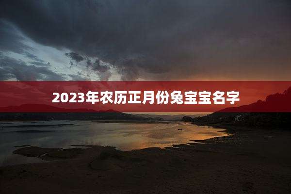 2023年农历正月份兔宝宝名字