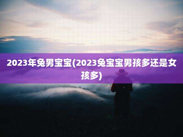 2023年兔男宝宝(2023兔宝宝男孩多还是女孩多)