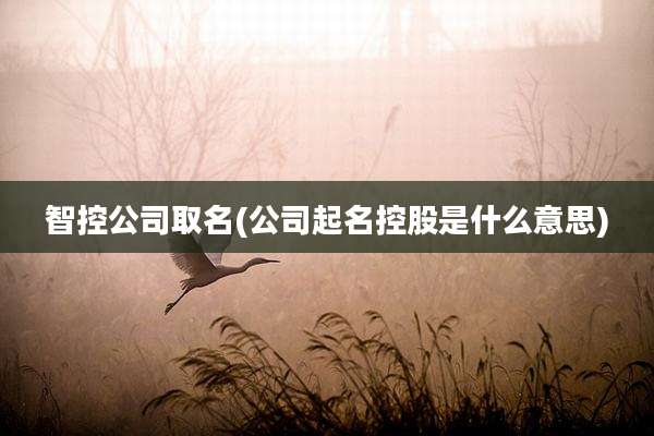智控公司取名(公司起名控股是什么意思)