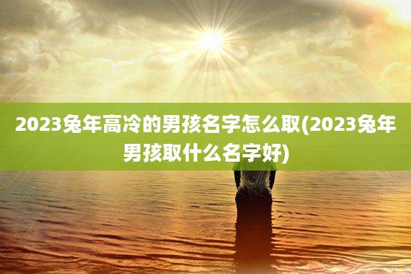 2023兔年高冷的男孩名字怎么取(2023兔年男孩取什么名字好)