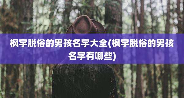 枫字脱俗的男孩名字大全(枫字脱俗的男孩名字有哪些)