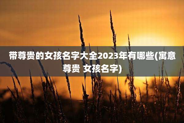 带尊贵的女孩名字大全2023年有哪些(寓意尊贵 女孩名字)