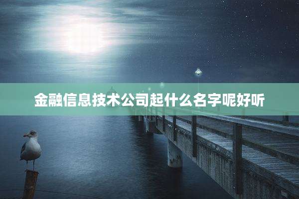 金融信息技术公司起什么名字呢好听