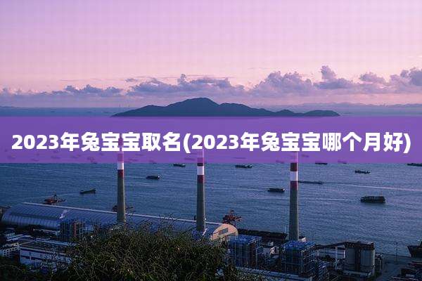 2023年兔宝宝取名(2023年兔宝宝哪个月好)