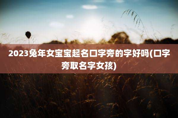 2023兔年女宝宝起名口字旁的字好吗(口字旁取名字女孩)