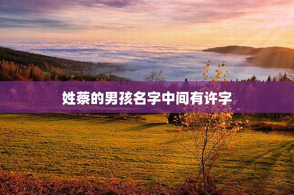姓蔡的男孩名字中间有许字