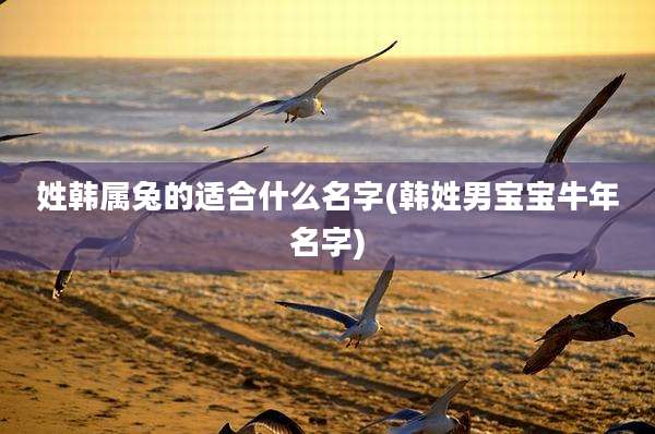 姓韩属兔的适合什么名字(韩姓男宝宝牛年名字)