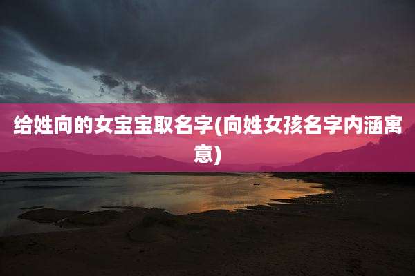 给姓向的女宝宝取名字(向姓女孩名字内涵寓意)
