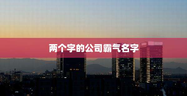 两个字的公司霸气名字