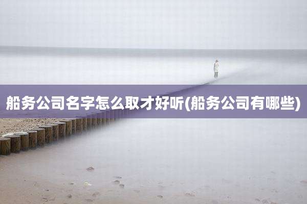 船务公司名字怎么取才好听(船务公司有哪些)