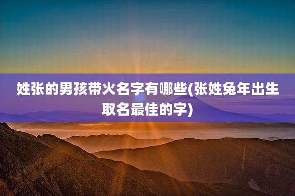 姓张的男孩带火名字有哪些(张姓兔年出生取名最佳的字)