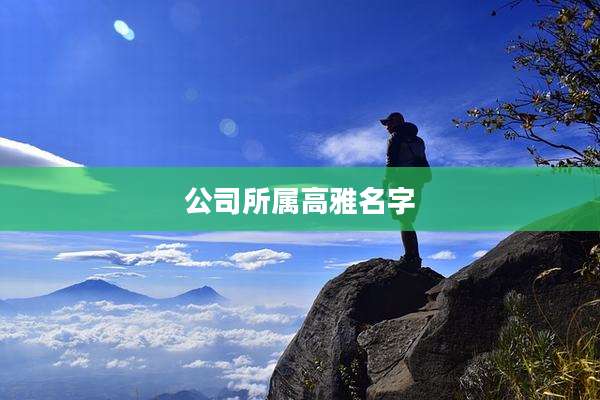 公司所属高雅名字