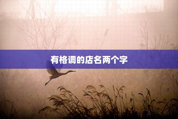 有格调的店名两个字