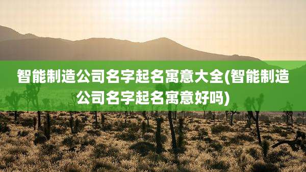 智能制造公司名字起名寓意大全(智能制造公司名字起名寓意好吗)