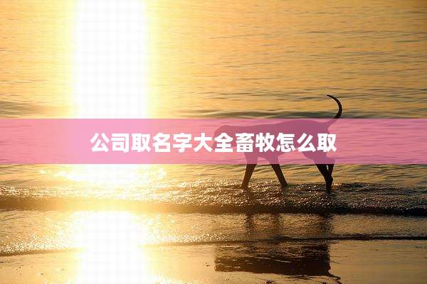 公司取名字大全畜牧怎么取