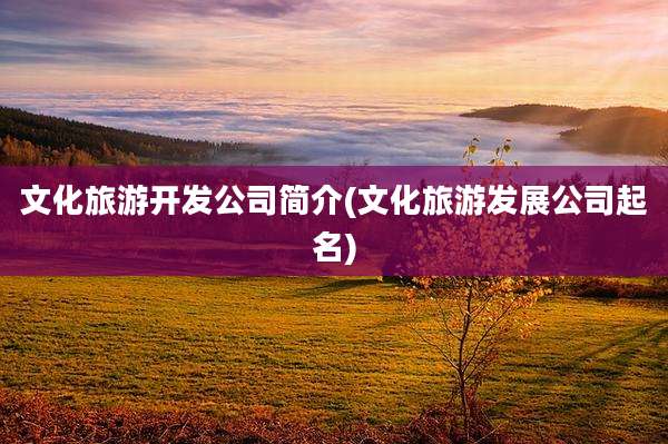 文化旅游开发公司简介(文化旅游发展公司起名)