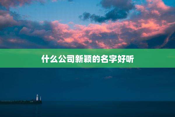 什么公司新颖的名字好听