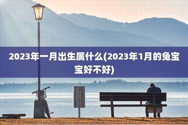 2023年一月出生属什么(2023年1月的兔宝宝好不好)