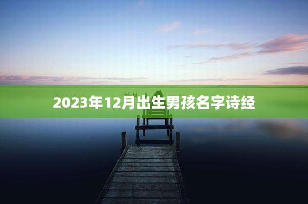 2023年12月出生男孩名字诗经