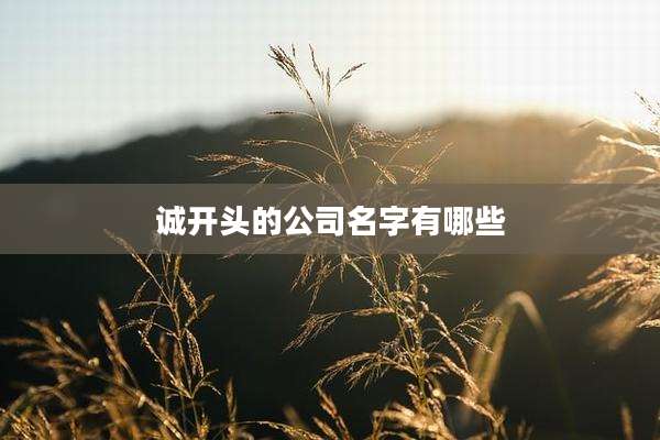 诚开头的公司名字有哪些