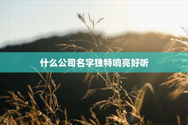 什么公司名字独特响亮好听