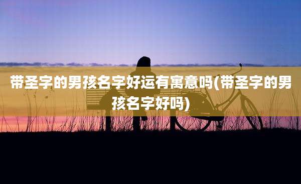 带圣字的男孩名字好运有寓意吗(带圣字的男孩名字好吗)
