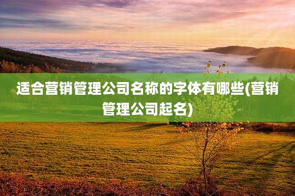 适合营销管理公司名称的字体有哪些(营销管理公司起名)