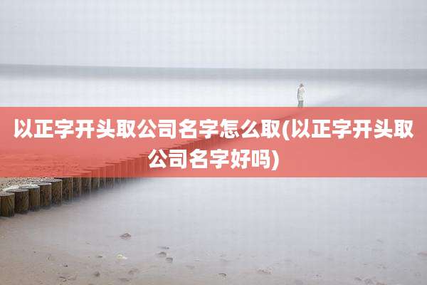 以正字开头取公司名字怎么取(以正字开头取公司名字好吗)