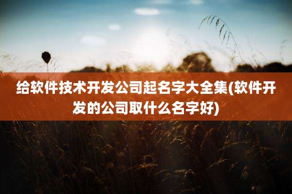 给软件技术开发公司起名字大全集(软件开发的公司取什么名字好)