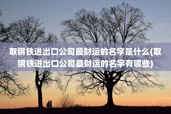 取钢铁进出口公司最财运的名字是什么(取钢铁进出口公司最财运的名字有哪些)