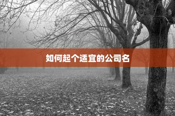 如何起个适宜的公司名