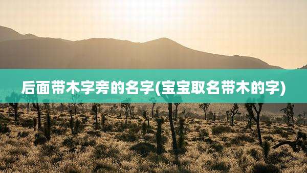 后面带木字旁的名字(宝宝取名带木的字)