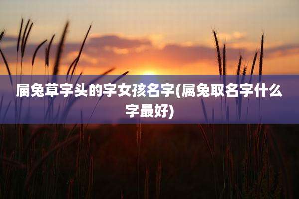属兔草字头的字女孩名字(属兔取名字什么字最好)