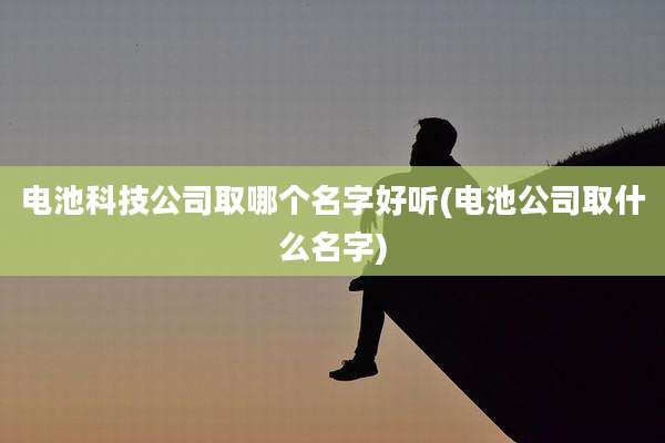 电池科技公司取哪个名字好听(电池公司取什么名字)