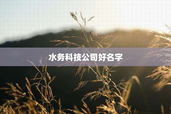 水务科技公司好名字