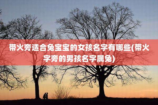带火旁适合兔宝宝的女孩名字有哪些(带火字旁的男孩名字属兔)