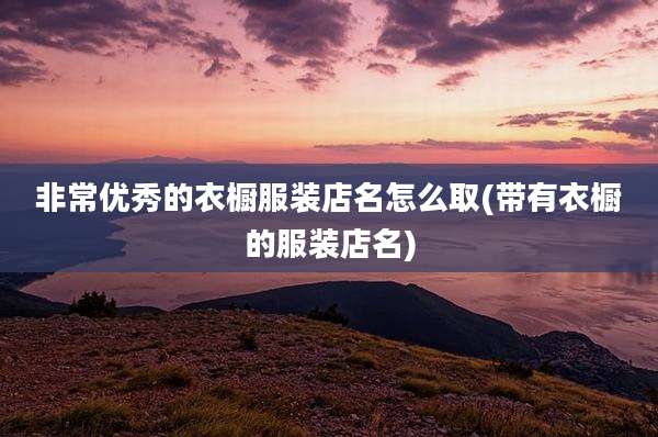 非常优秀的衣橱服装店名怎么取(带有衣橱的服装店名)