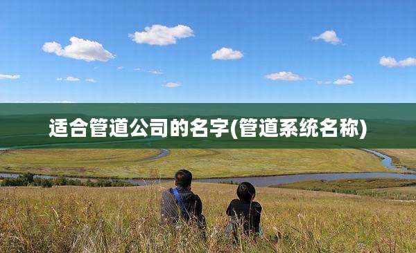 适合管道公司的名字(管道系统名称)