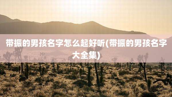带振的男孩名字怎么起好听(带振的男孩名字大全集)
