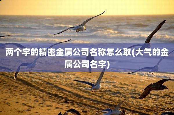 两个字的精密金属公司名称怎么取(大气的金属公司名字)