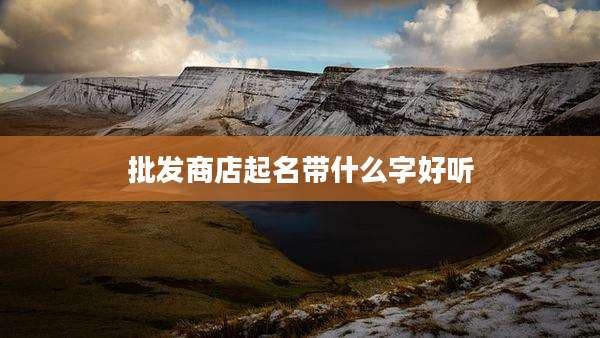 批发商店起名带什么字好听