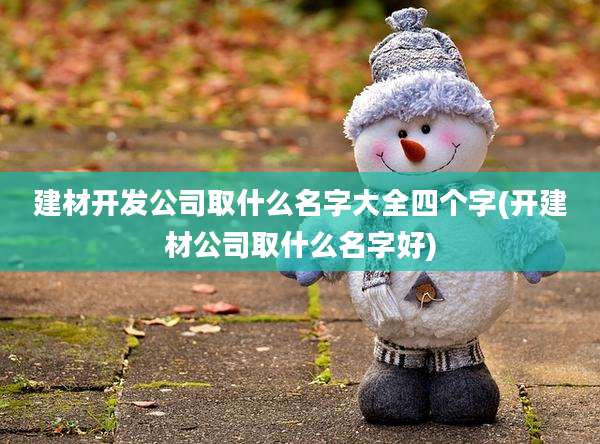 建材开发公司取什么名字大全四个字(开建材公司取什么名字好)