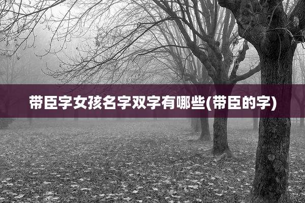 带臣字女孩名字双字有哪些(带臣的字)