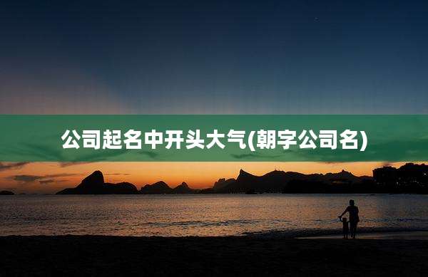 公司起名中开头大气(朝字公司名)