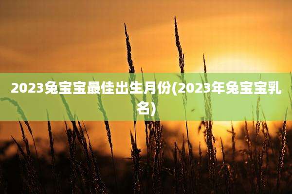 2023兔宝宝最佳出生月份(2023年兔宝宝乳名)