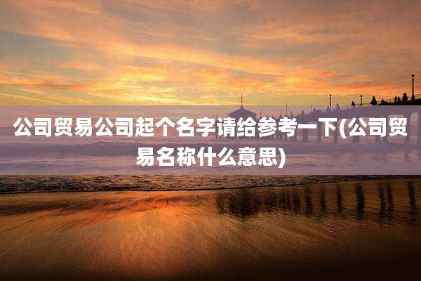公司贸易公司起个名字请给参考一下(公司贸易名称什么意思)