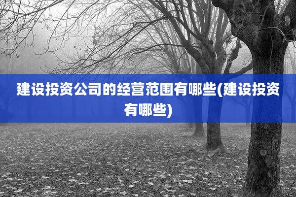 建设投资公司的经营范围有哪些(建设投资有哪些)
