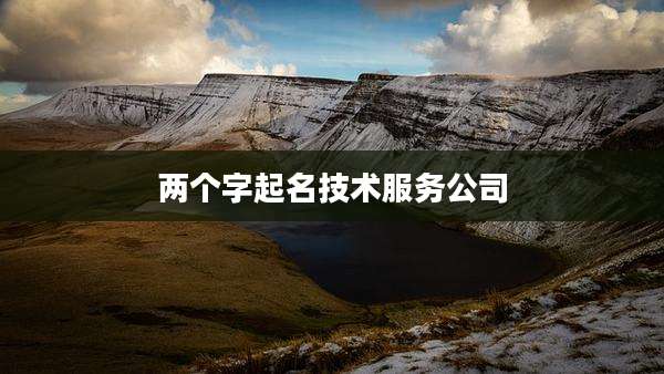 两个字起名技术服务公司