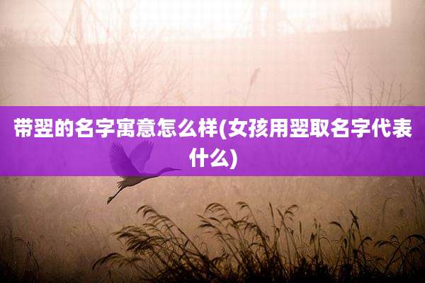 带翌的名字寓意怎么样(女孩用翌取名字代表什么)
